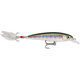 Rapala X-Rap Lure - Rainbow Trout.jpg