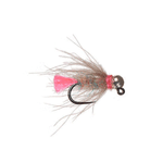 RAINY FLY FINLAYSON DIRTY POLITICIAN - Pink.jpg