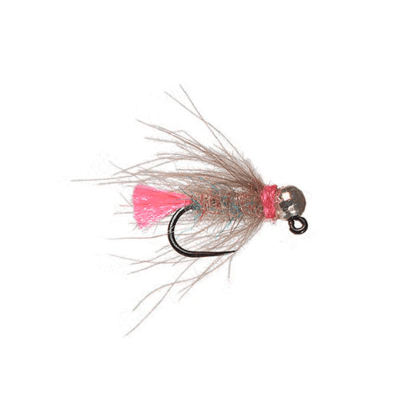 RAINY FLY FINLAYSON DIRTY POLITICIAN - Pink.jpg