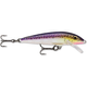 Rapala Original Floating Lure
 - Purple Descent.jpg