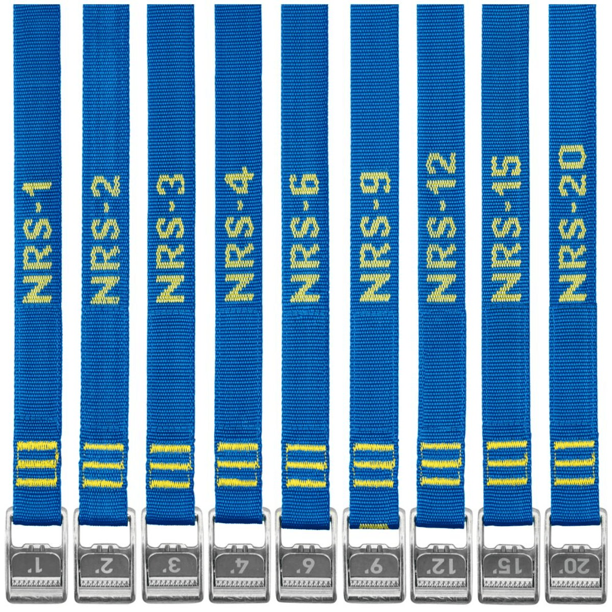 NRS 1" Hd Tie-down Strap - Iconic Blue.jpg