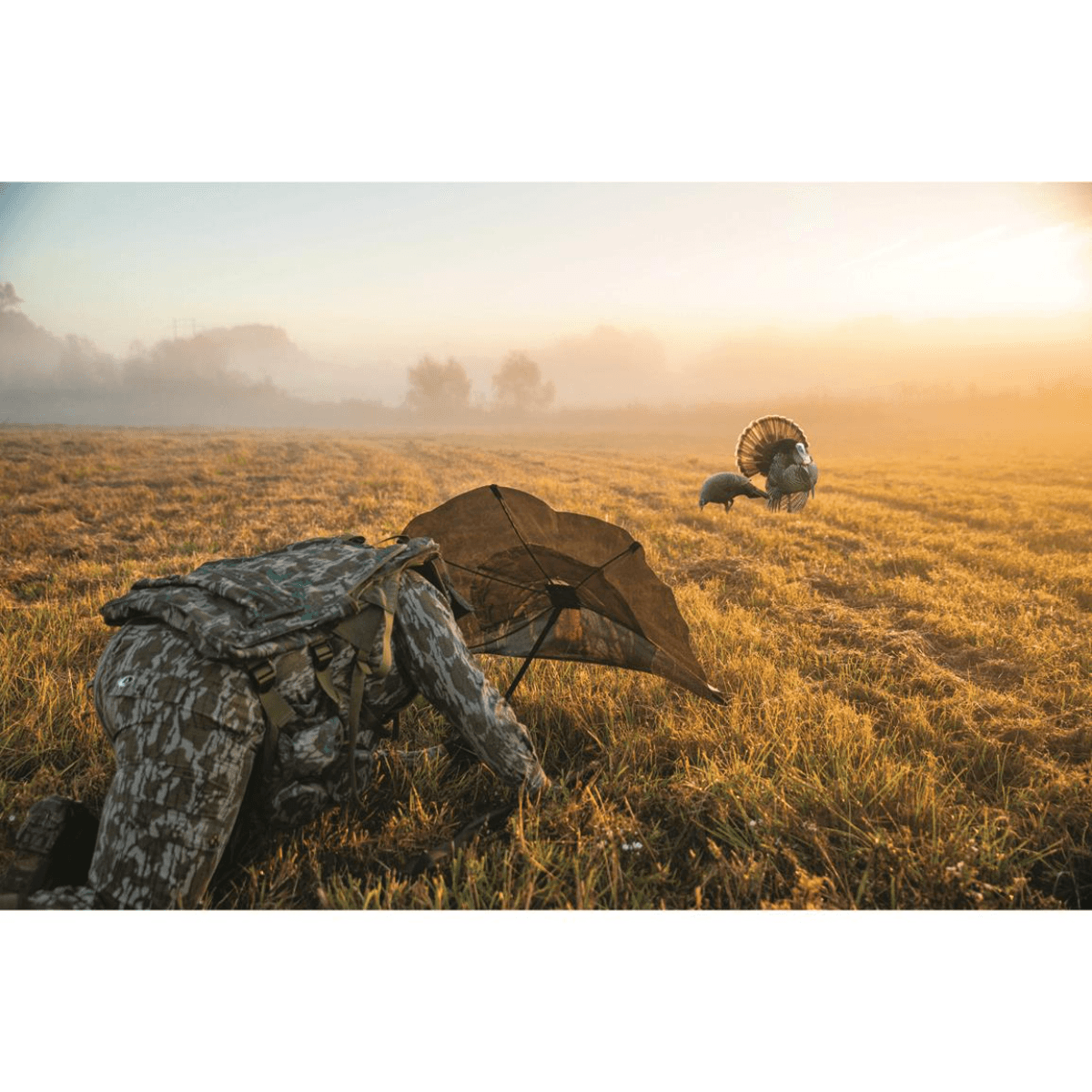 Primos Double Bull SurroundView Turkey Decoy