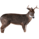 MONDEC THE FRESHMAN BUCK.jpg