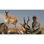 Montana-Decoy-Antelope-Buck.jpg