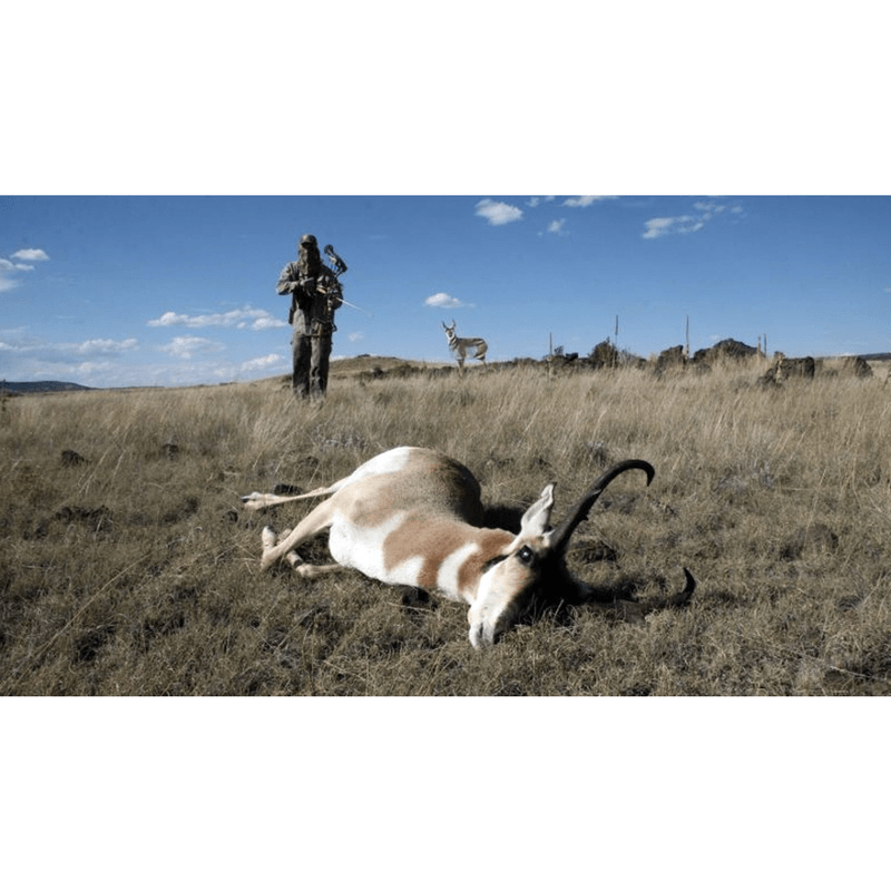 Montana-Decoy-Antelope-Buck.jpg