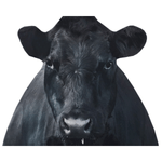 Montana Decoy Bessie Moo Cow.jpg