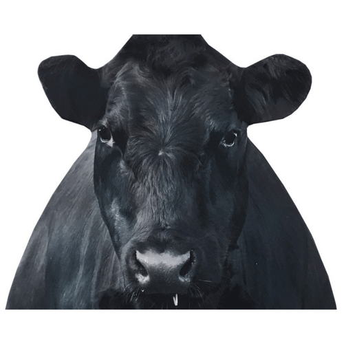 Montana Decoy Bessie Moo Cow