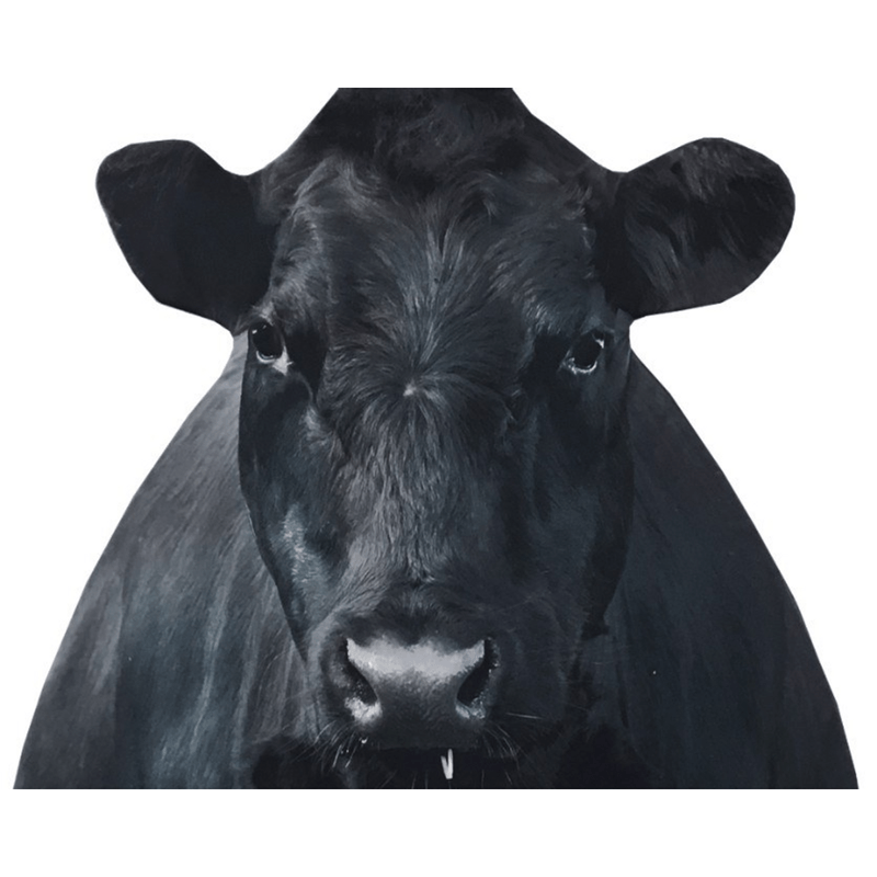 Montana Decoy Bessie Moo Cow.jpg