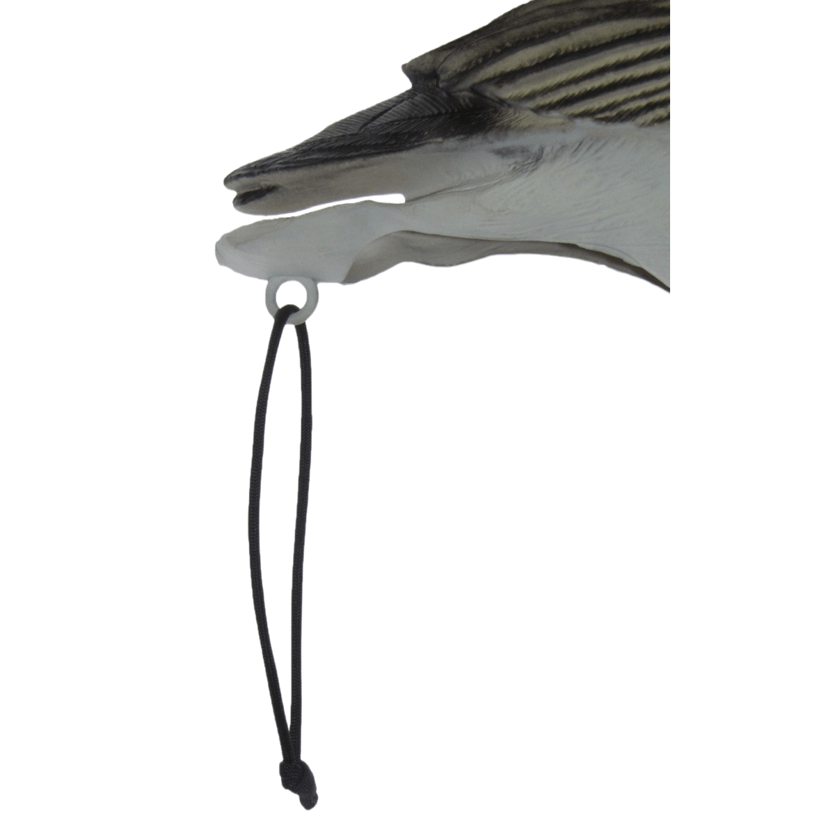 HEAHAU MAYHEM DECOY TAIL LOOPS.jpg