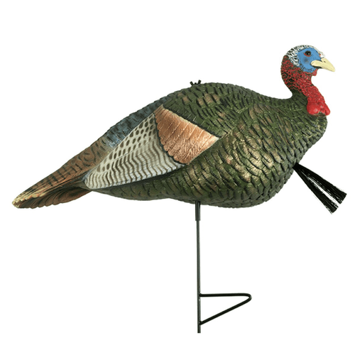 The Grind Half Strut Jake Turkey Decoy