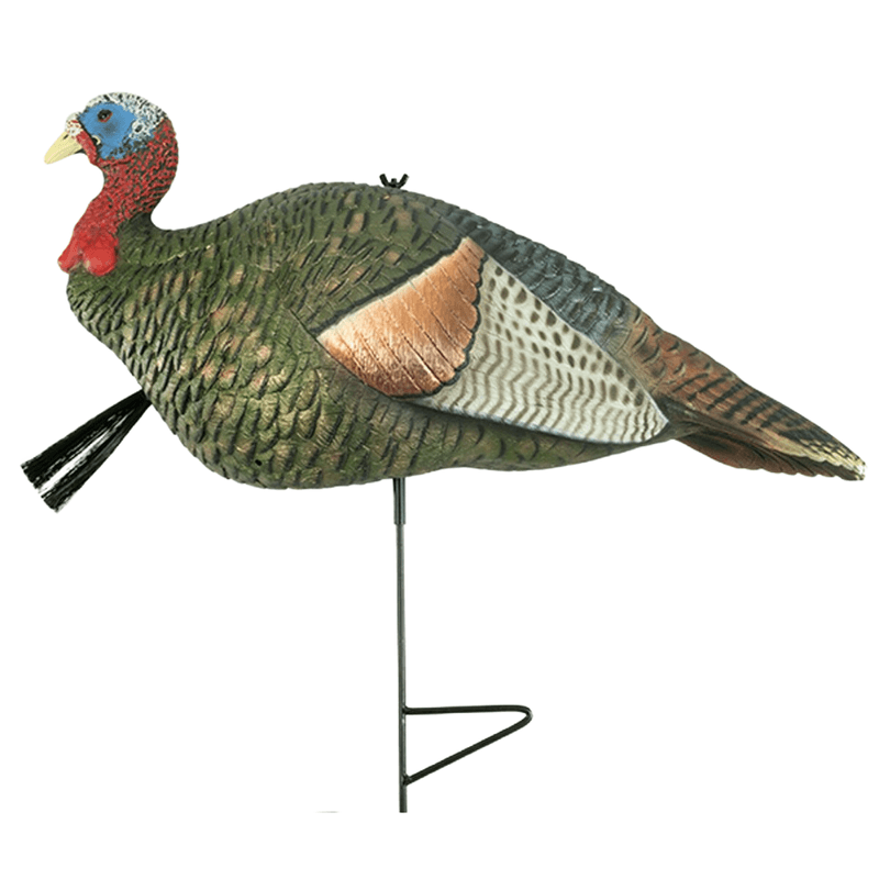 The Grind Half Strut Jake Turkey Decoy