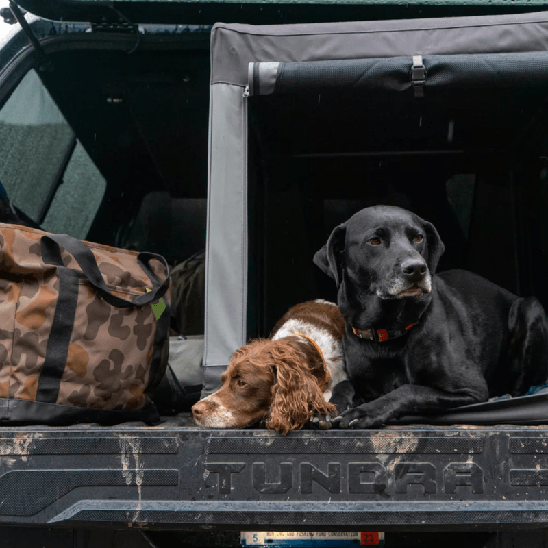 Orvis-Tough-Trail-Folding-Travel-Crate---Granite.jpg