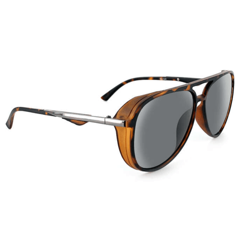 Optic Nerve Alpine Sunglasses