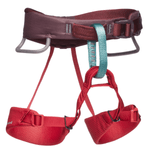 Black Diamond Momentum Harness - Youth - Wild Rose.jpg