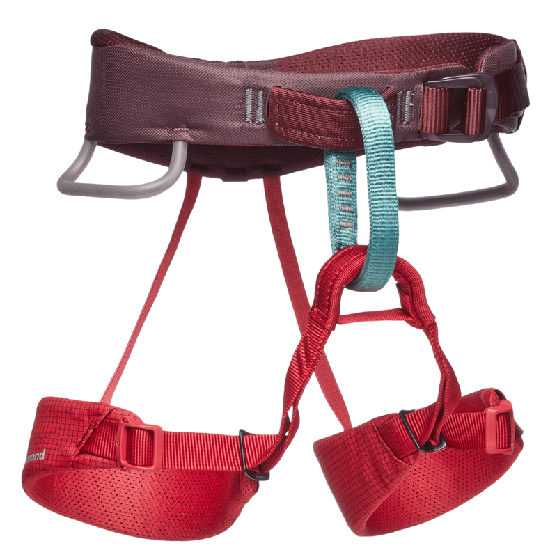 Black Diamond Momentum Harness - Youth - Wild Rose.jpg