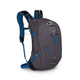 OSPREY PACK SYLVA 12 - Space Travel Grey.jpg