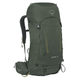 Osprey Kestrel 38 Backpack - Men's - Bonsai Green.jpg