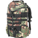 Mystery Ranch 2 Day Assault Backpack - DPMCAMO.jpg