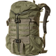 Mystery Ranch 2 Day Assault Backpack - Forest.jpg