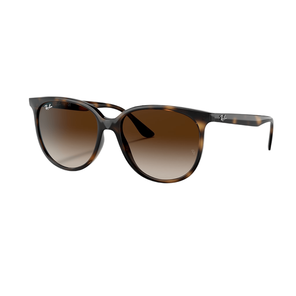 RAYBAN RB4378 HVN GRDNT BRWN SNGLSSS.jpg