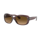 RAYBAN JCK HH TRNSPRNT DRK BRWN BRWN.jpg