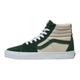 Vans SK8-Hi Shoe - Mountain View.jpg