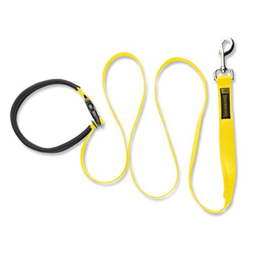 Browning Dog Training Lead