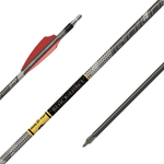 GOLD T ARROW BLACK LBL 36PK.jpg