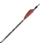 GOLD T ARROW BLACK LBL 36PK.jpg