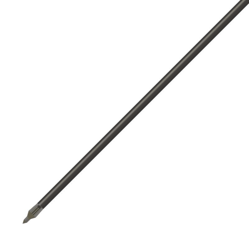 GOLD T ARROW BLACK LBL 36PK.jpg