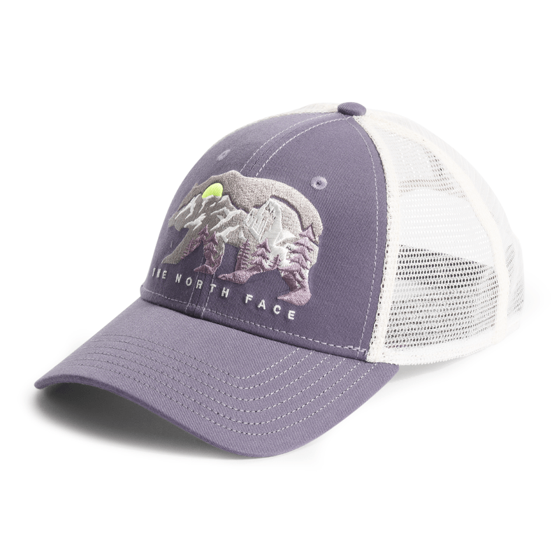 North face store bear cap