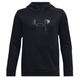 Under Armour Armour Fleece Big Logo Hoodie - Black / Black.jpg