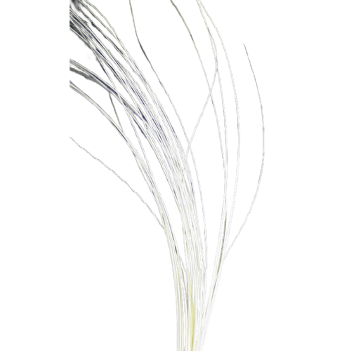 Hareline Quill Body