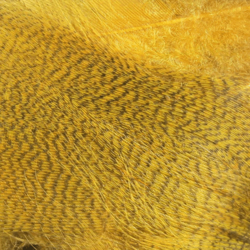 Hareline Dubbin Mallard Flank Feather