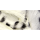 Hareline Silky Bunnybou Strips - White.jpg