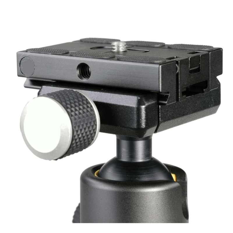 VANGUA-CF-4-N-1-TRPD-W--BLL-HD-PN-HND.jpg