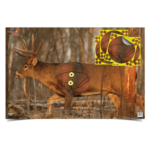 Birchwood Casey Eze-Scorer 23x35 Whitetail Deer Target w/ Vital Organs (2 Pack)