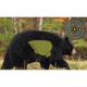 Walker Bear Target (3 Pack).jpg