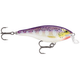 Rapala Shallow Shad Rap Fishing Lure - PURPLEDESCENT.jpg