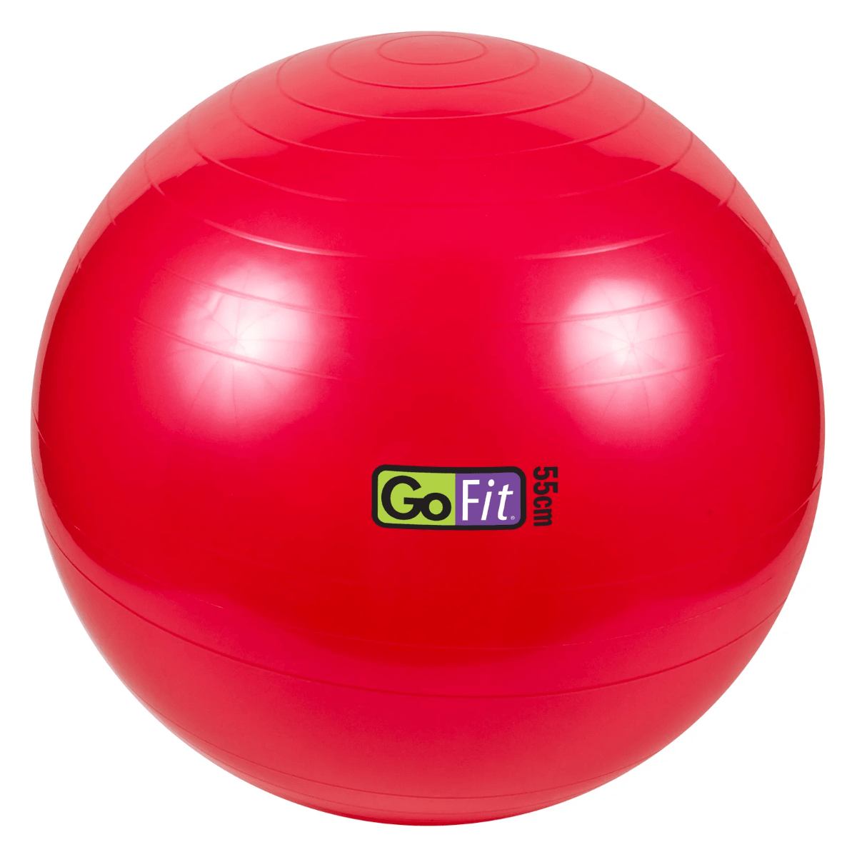 GOFIT 55CM EXCERCISE BALL.jpg