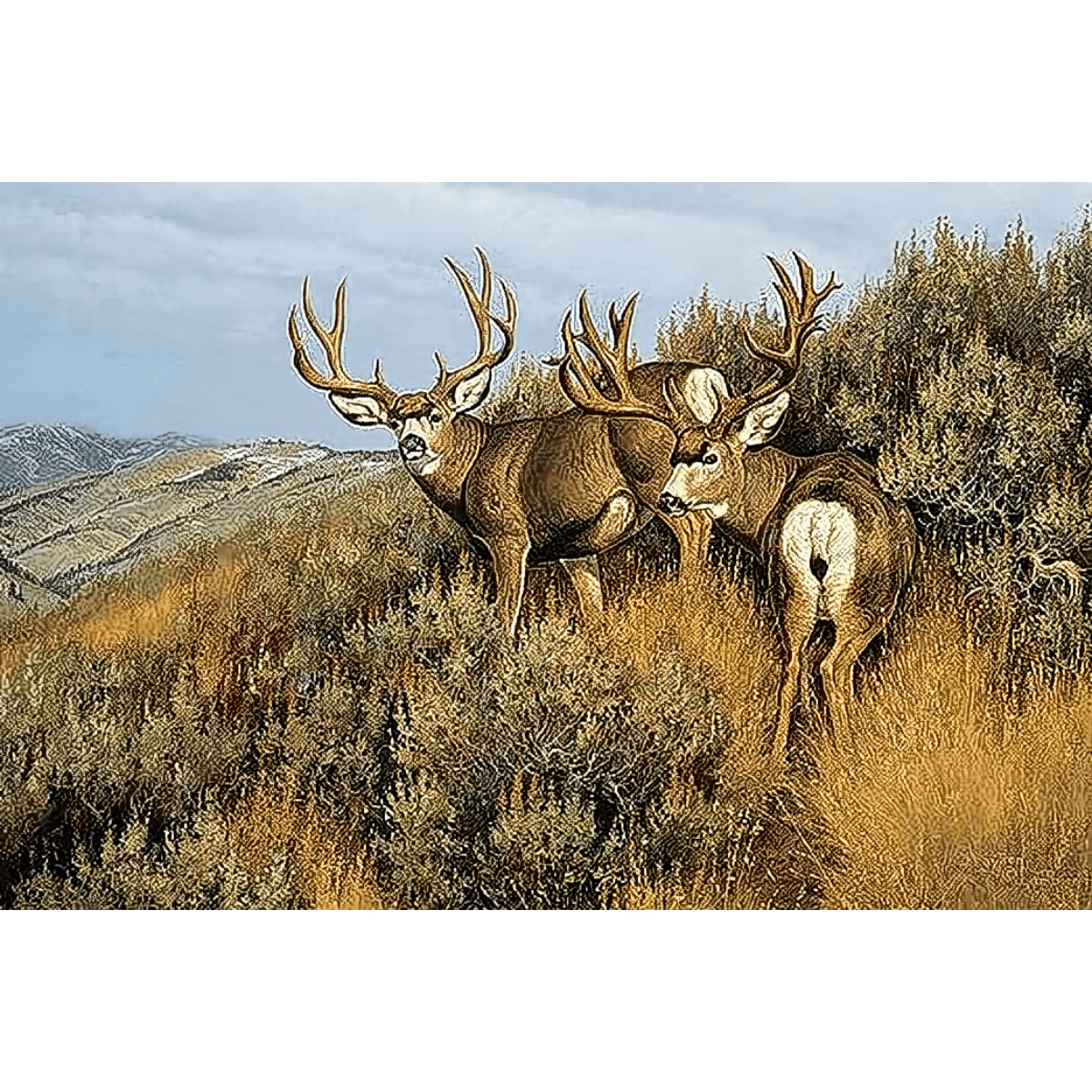 Reflective Art Low Country Mulies Canvas Art - Als.com