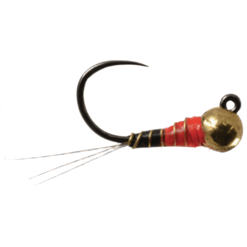 Rainey's Finlayson's Perdigon Fly