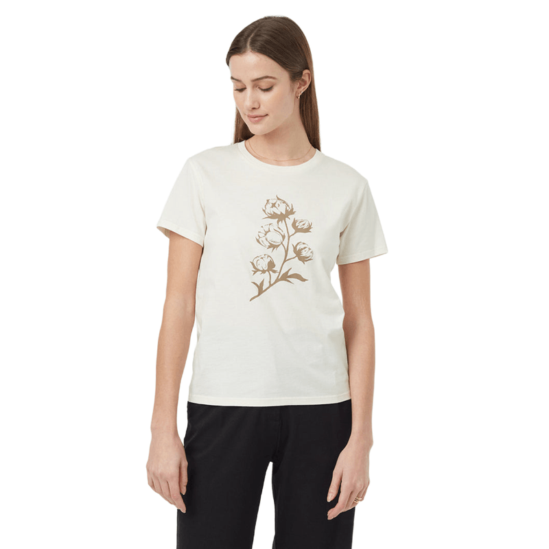 tentree-Cotton-Botanical-T-Shirt---Women-s---Vintage-White---Chinchilla.jpg