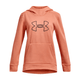UNDER GIRLS ARMOUR FLEECE BL HOODIE - Bubble Peach / Black.jpg