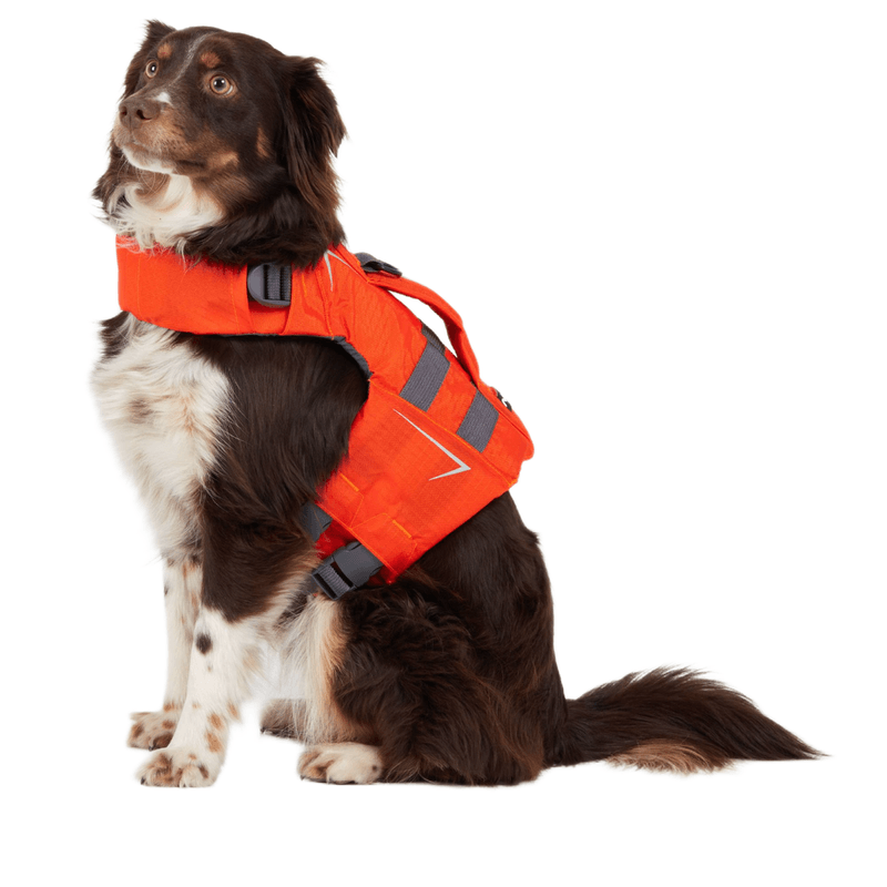 NRS CFD Dog Life Jacket