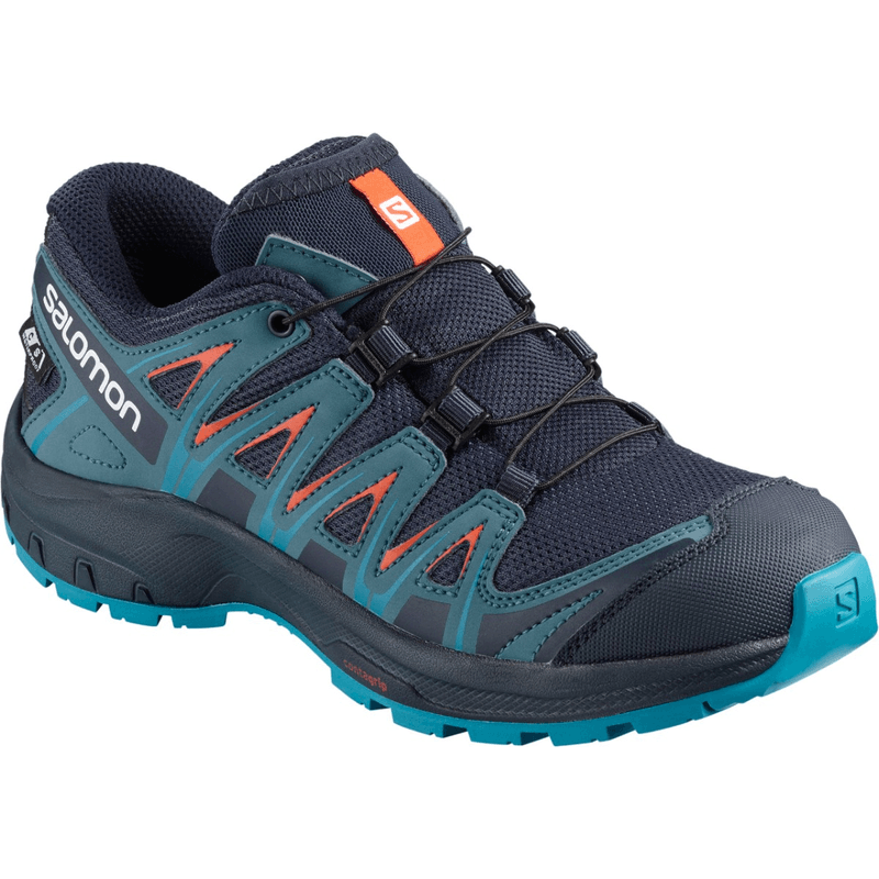 Salomon Xa Pro 3D Gtx W