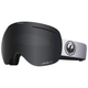Dragon Alliance X1 Goggle - Salt / Llflashblue / Lldksmk.jpg