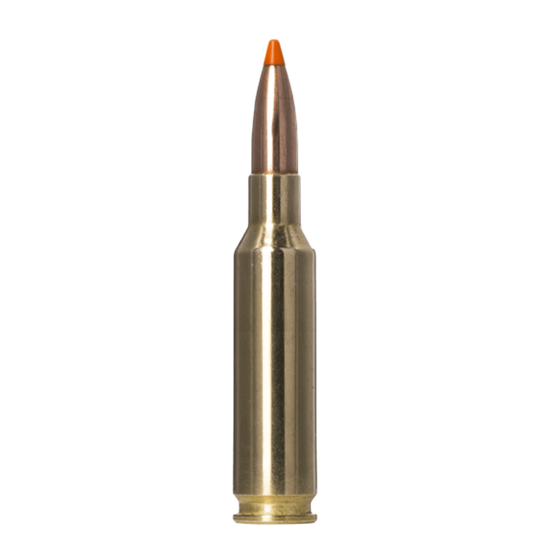 NORMA-AMMO-EVOSTRIKE---140GR-TIPSTRIKE.jpg