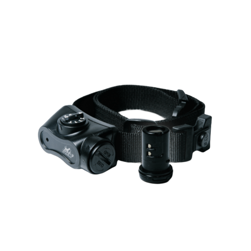 DT Systems Bark Boss Rechargeable Collar