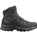 SAL-SH-M-SHOE-QUEST-4-GORE-TEX---Magnet---Black---Quarry.jpg